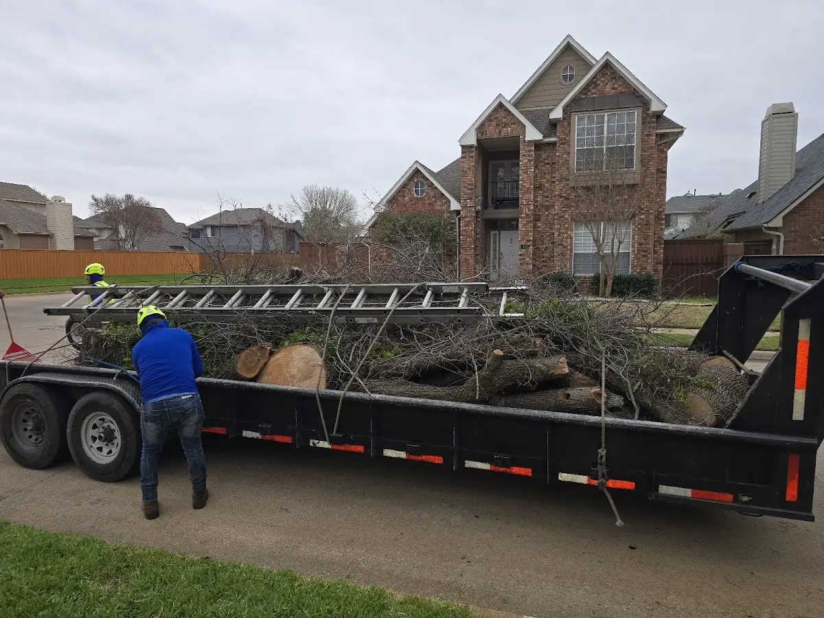 Expert Tree Fertilization with proper safety equipment in Chesaning